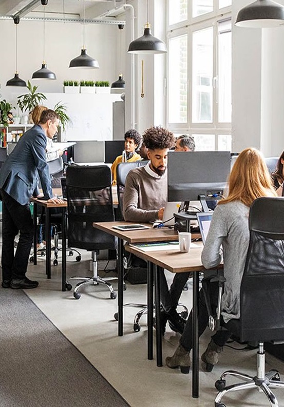 Global Student Consultants